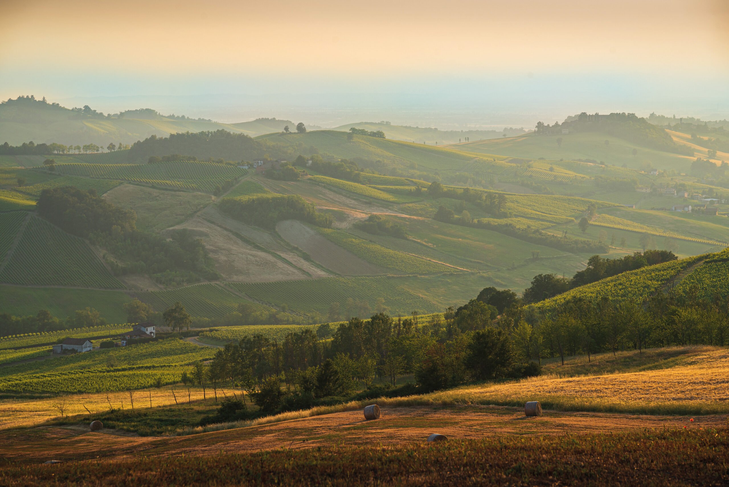 Colline Cresce Colline e Oltre, dell’Oltrepò Pavese - LOMBARDIA ECONOMY - La ...